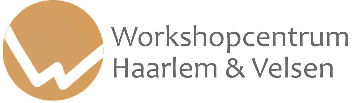 Workshop Centrum Haarlem & Velsen